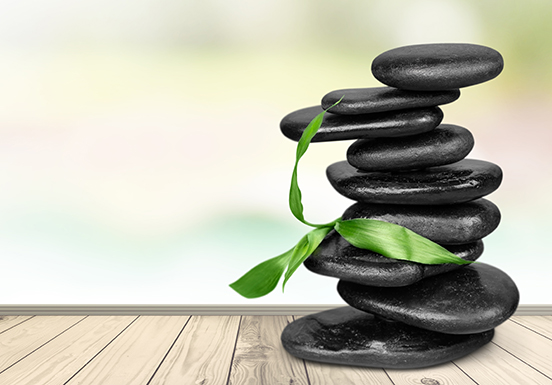 Shiatsu Therapist